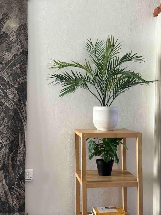Appartamento Xenia - Charming Garden In Porta Venezia *